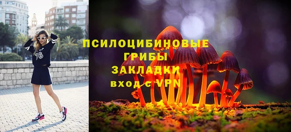 PSILOCYBIN Зеленокумск