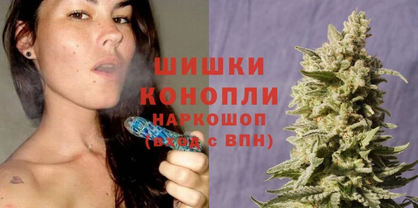 дмт Тутаев