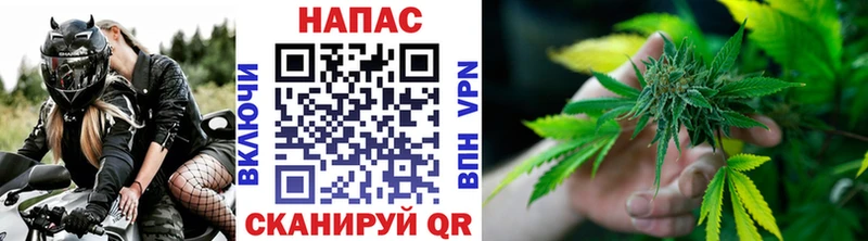 Купить Кимовск Марихуана Ganja